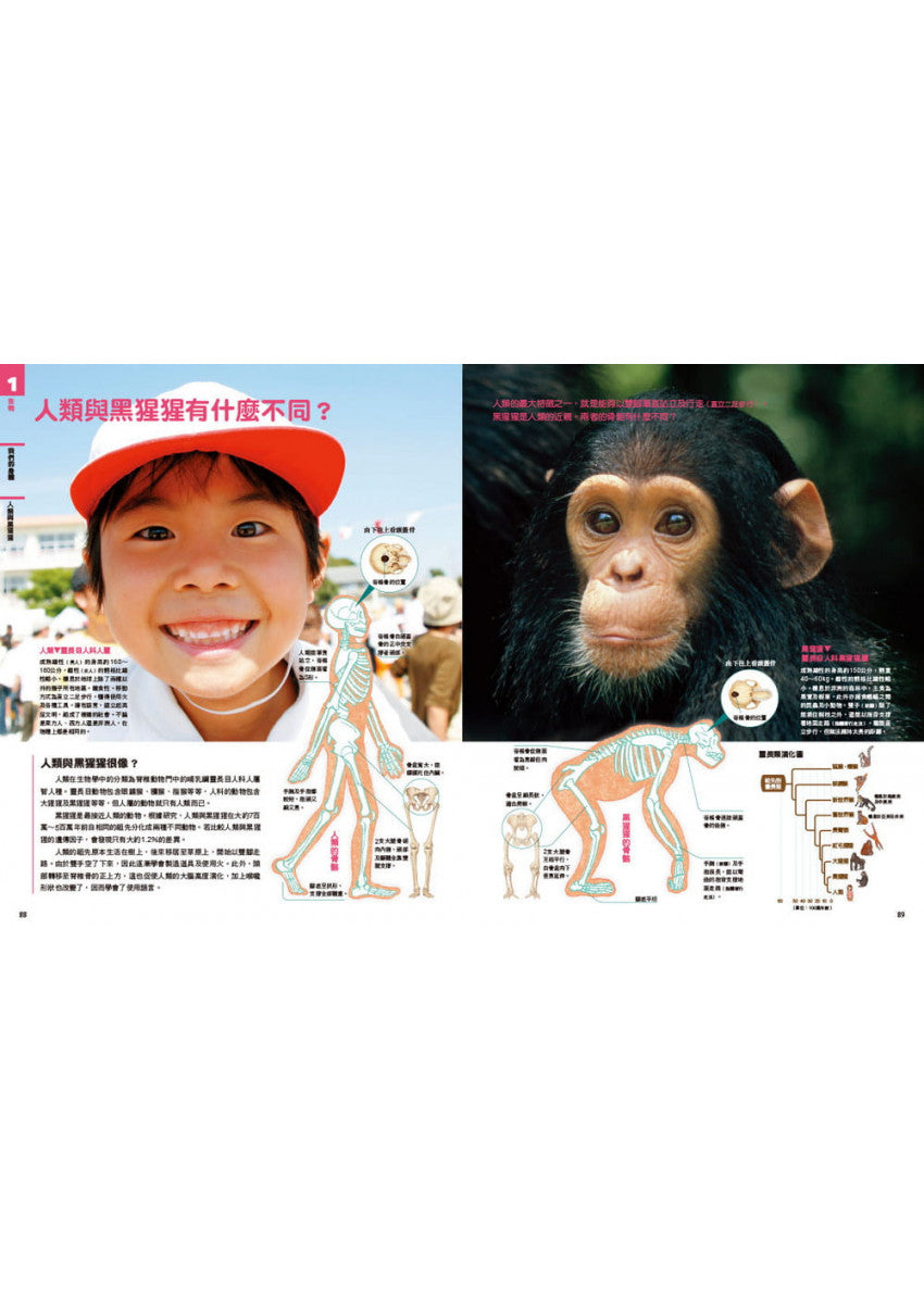 中小學生必讀科學常備用書1 NEW全彩圖解觀念生物