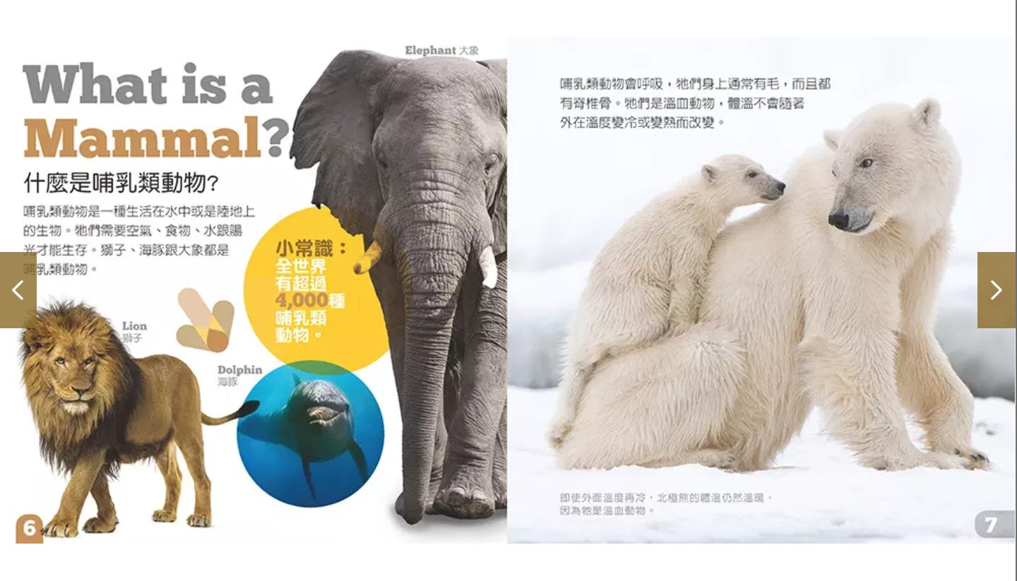 生物及棲息地系列:哺乳類動物