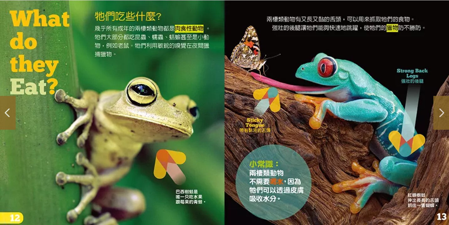 生物及棲息地系列:兩棲類動物