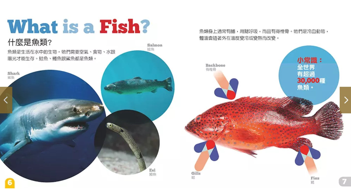 生物及棲息地系列:魚類