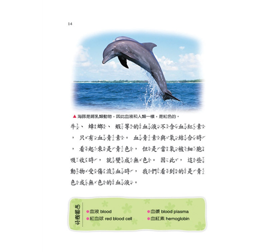 小小百科 3 : 驚奇人體