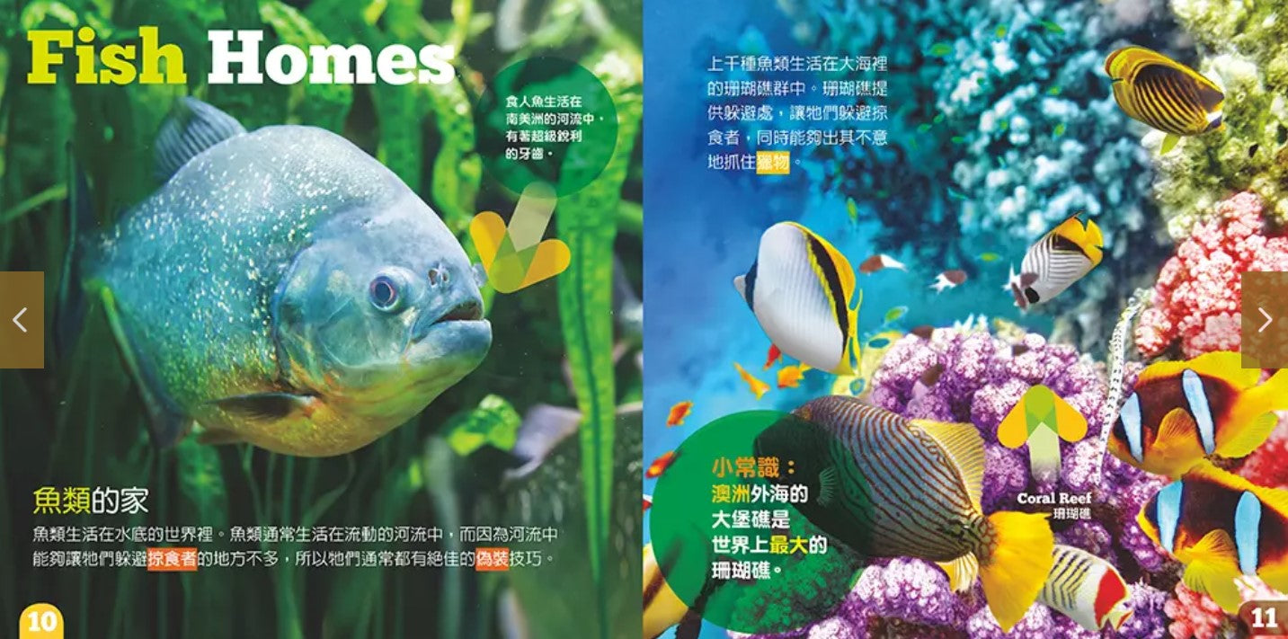 生物及棲息地系列:魚類