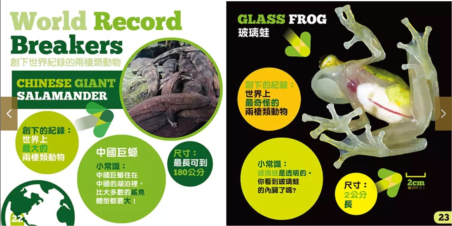 生物及棲息地系列:兩棲類動物
