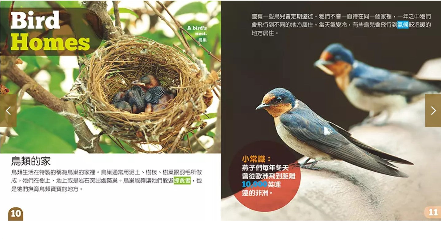 生物及棲息地系列:鳥類