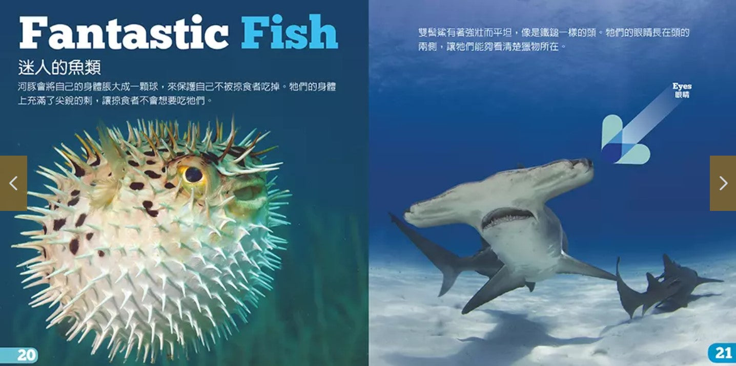 生物及棲息地系列:魚類