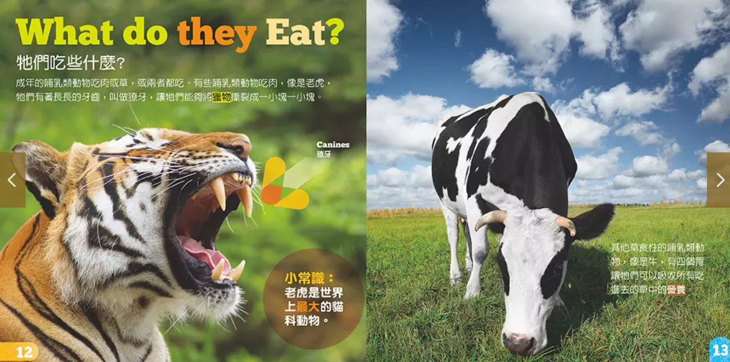 生物及棲息地系列:哺乳類動物