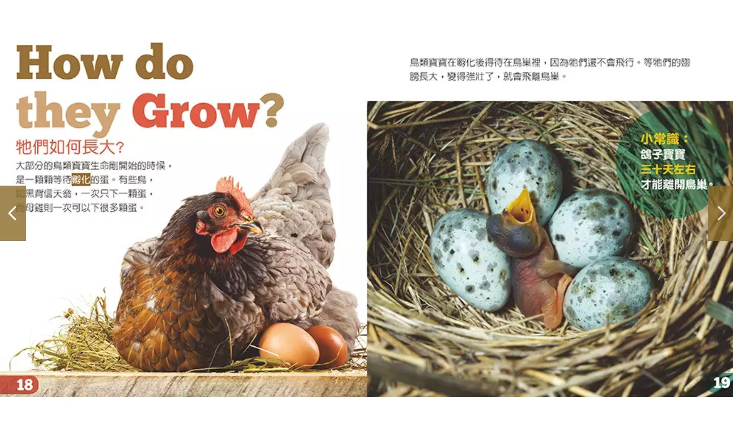 生物及棲息地系列:鳥類