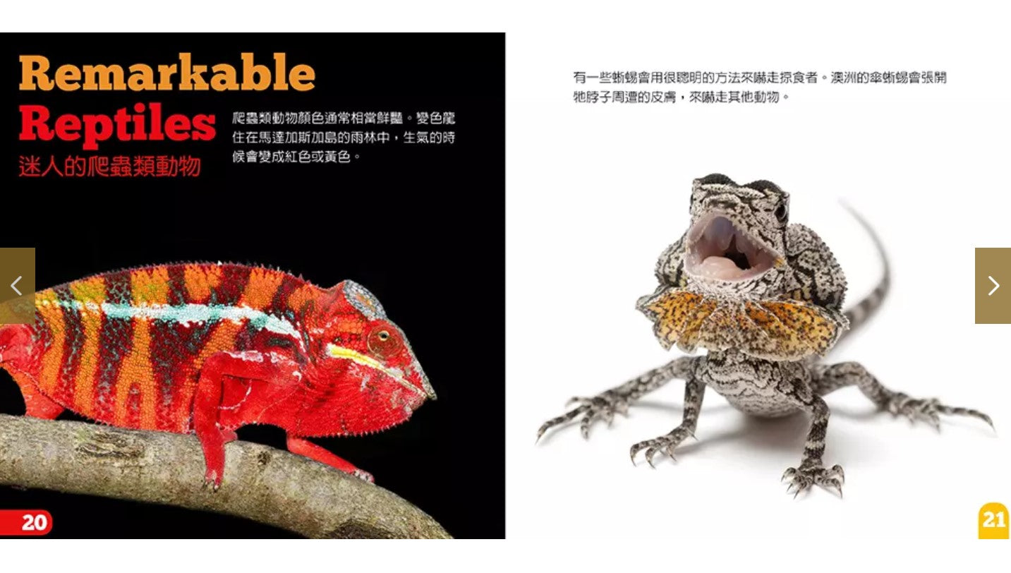生物及棲息地系列:爬蟲類動物
