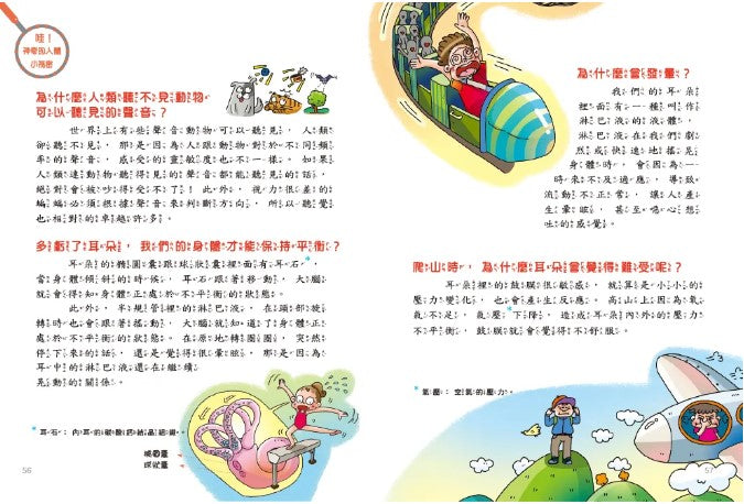 邊玩邊學習的人體百科 - 這是什麼呢?