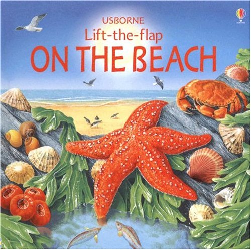 ON THE BEACH LIFT-THE-FLAP