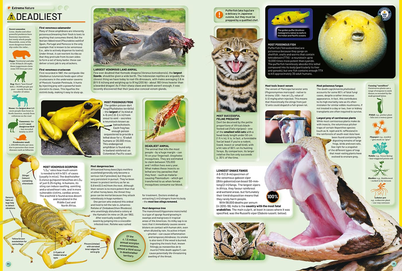 Guinness World Records 2026