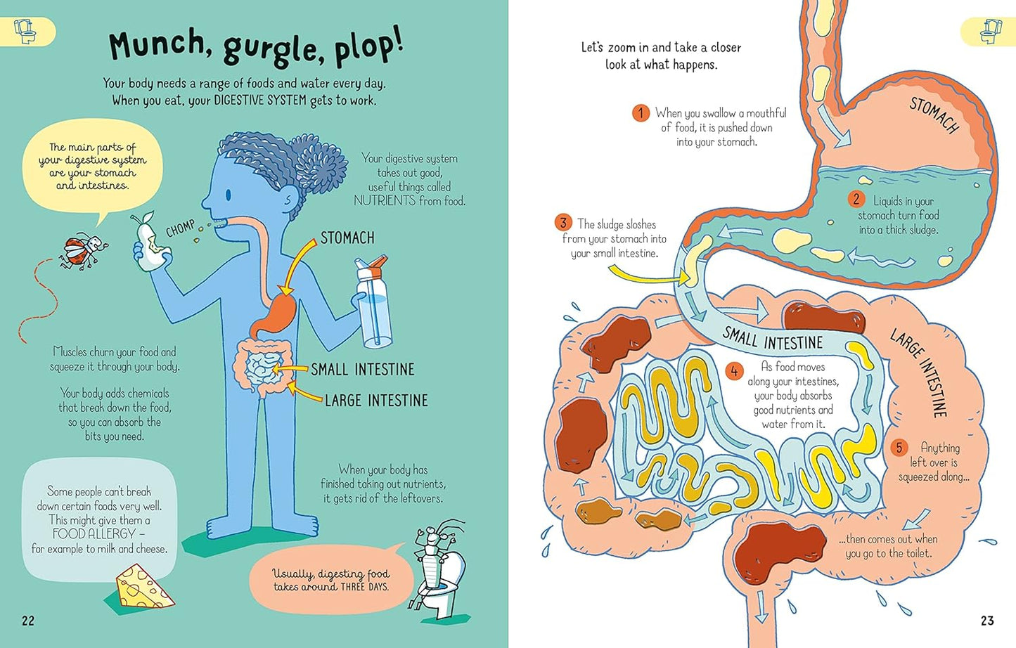 All You Need to Know about Your Body by Age 7