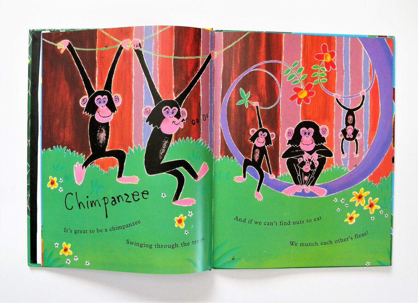 Rumble in the Jungle Collection - 8 Books