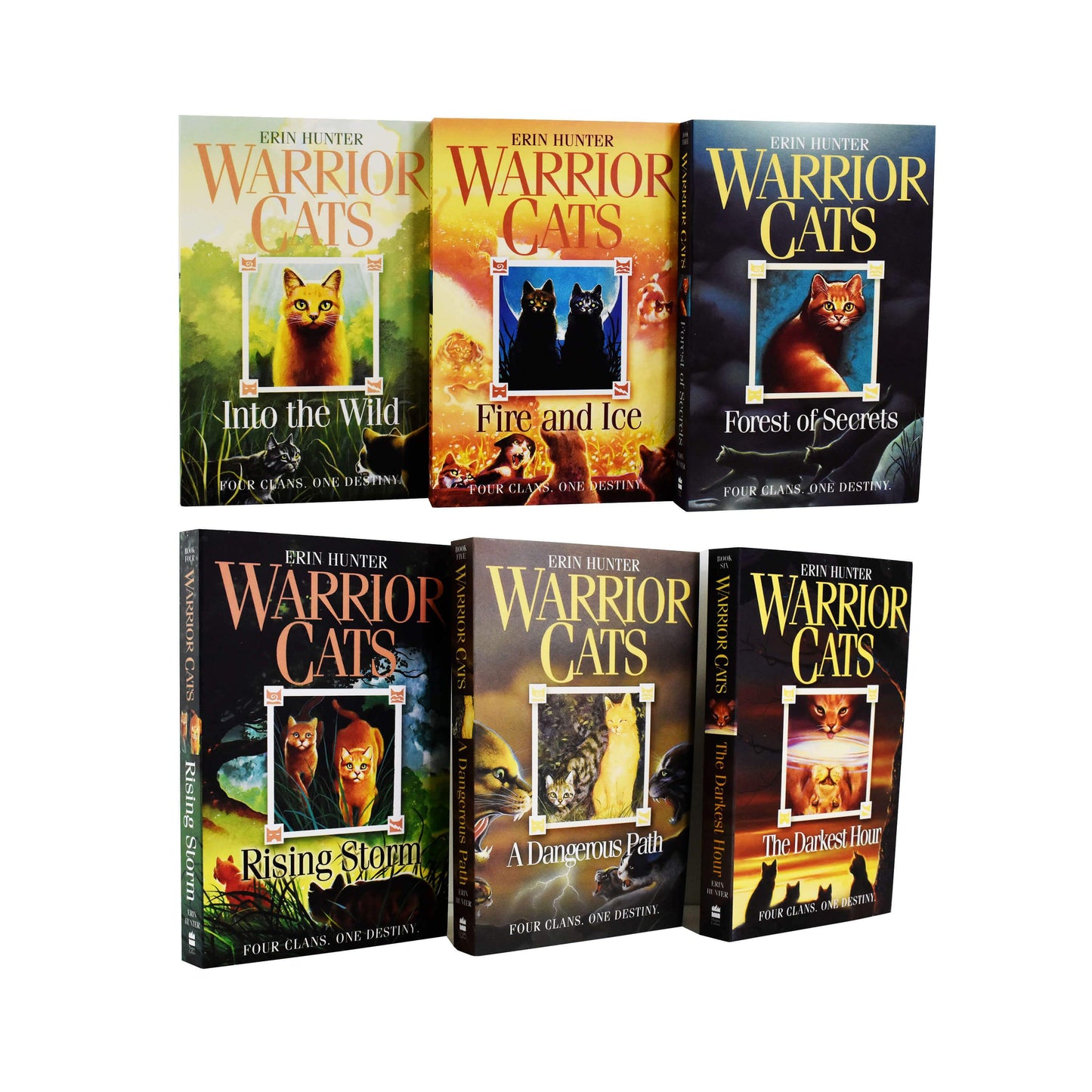 Warrior Cats Series 1: The Prophecies Begin - 6 Books