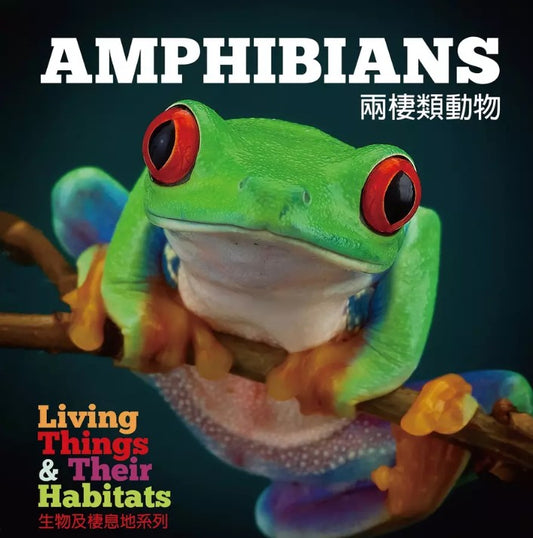 生物及棲息地系列:兩棲類動物