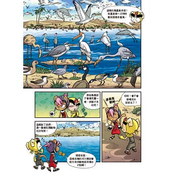 黃金戰士大冒險 8:河神的傳說