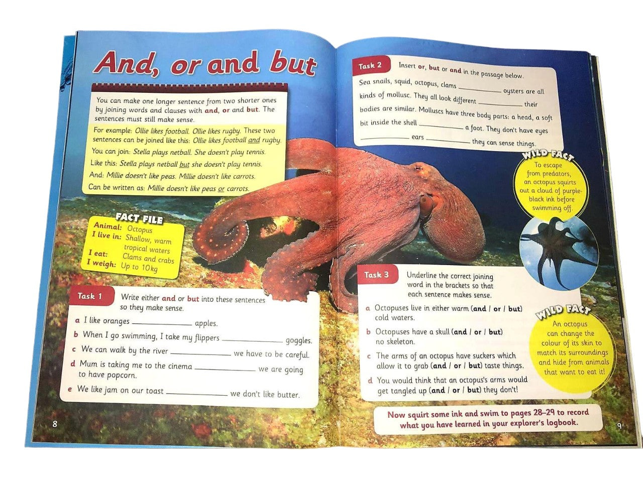 Letts Wild About: Ages 5-7 Collection