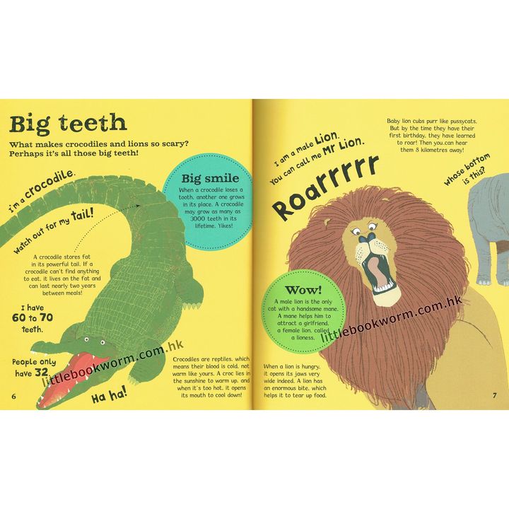 WOW! Collection :A Book of Extraordinary Facts - 4 Books