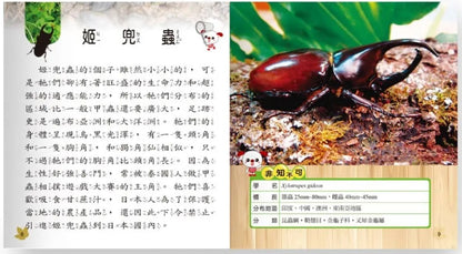 我是知識王 10 : 甲蟲小百科