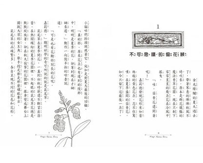 香草魔女 16 : 天藍色香草的神奇魔力