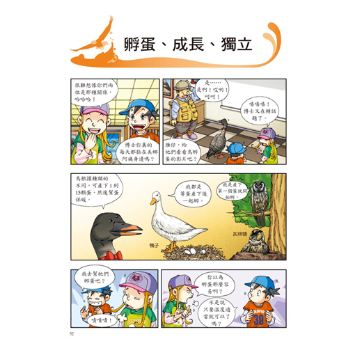 科普知識漫畫 26 : 漫畫鳥類