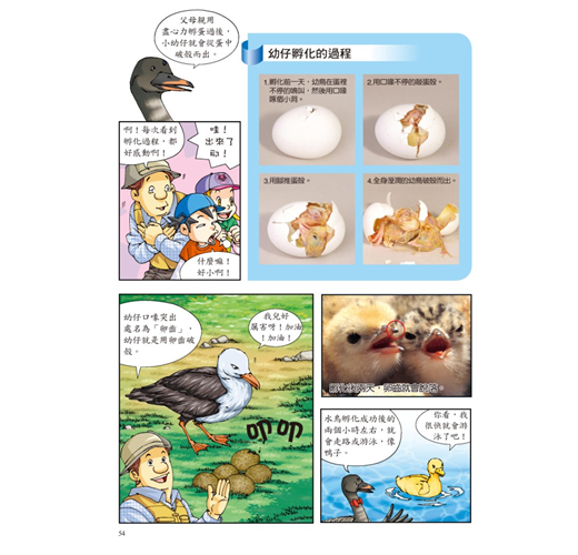 科普知識漫畫 26 : 漫畫鳥類