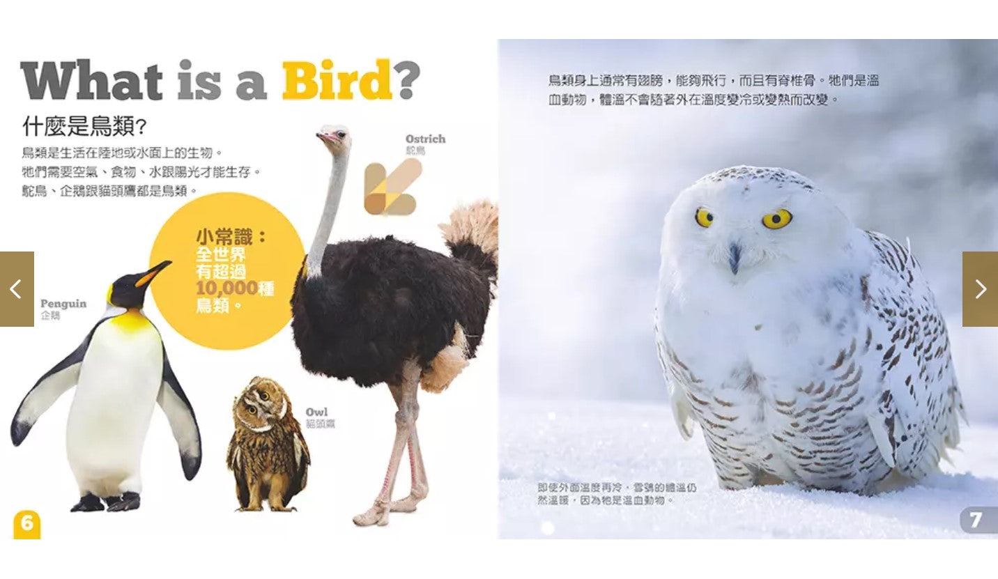 生物及棲息地系列:鳥類