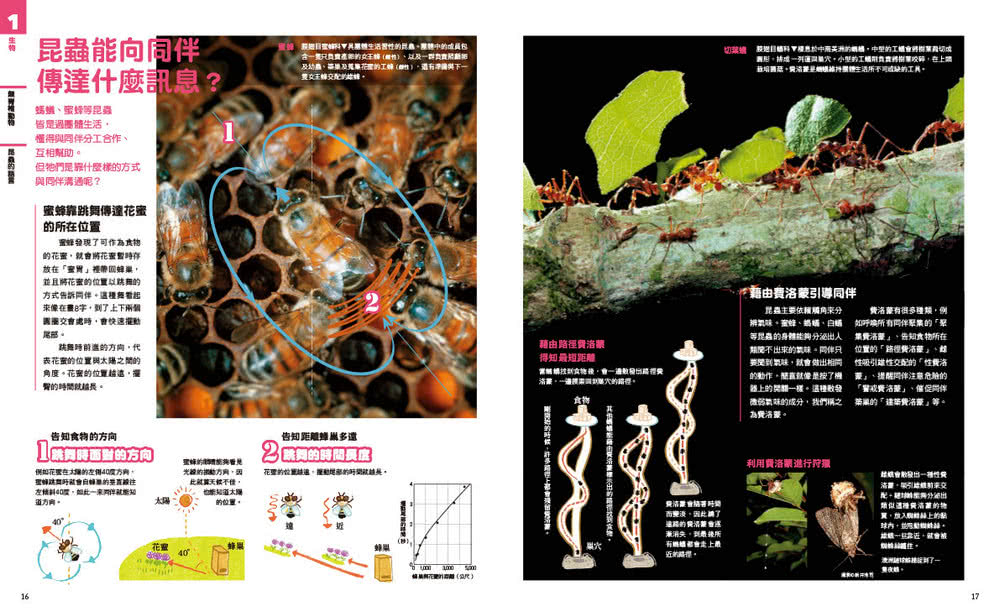中小學生必讀科學常備用書1 NEW全彩圖解觀念生物
