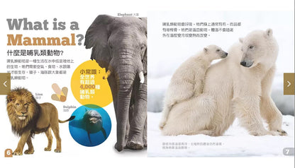 生物及棲息地系列:哺乳類動物