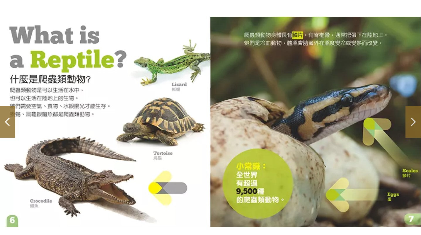 生物及棲息地系列:爬蟲類動物