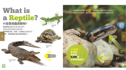 生物及棲息地系列:爬蟲類動物