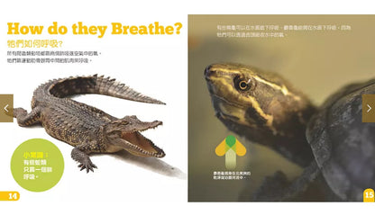 生物及棲息地系列:爬蟲類動物