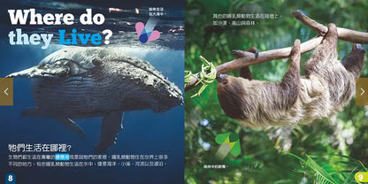 生物及棲息地系列:哺乳類動物