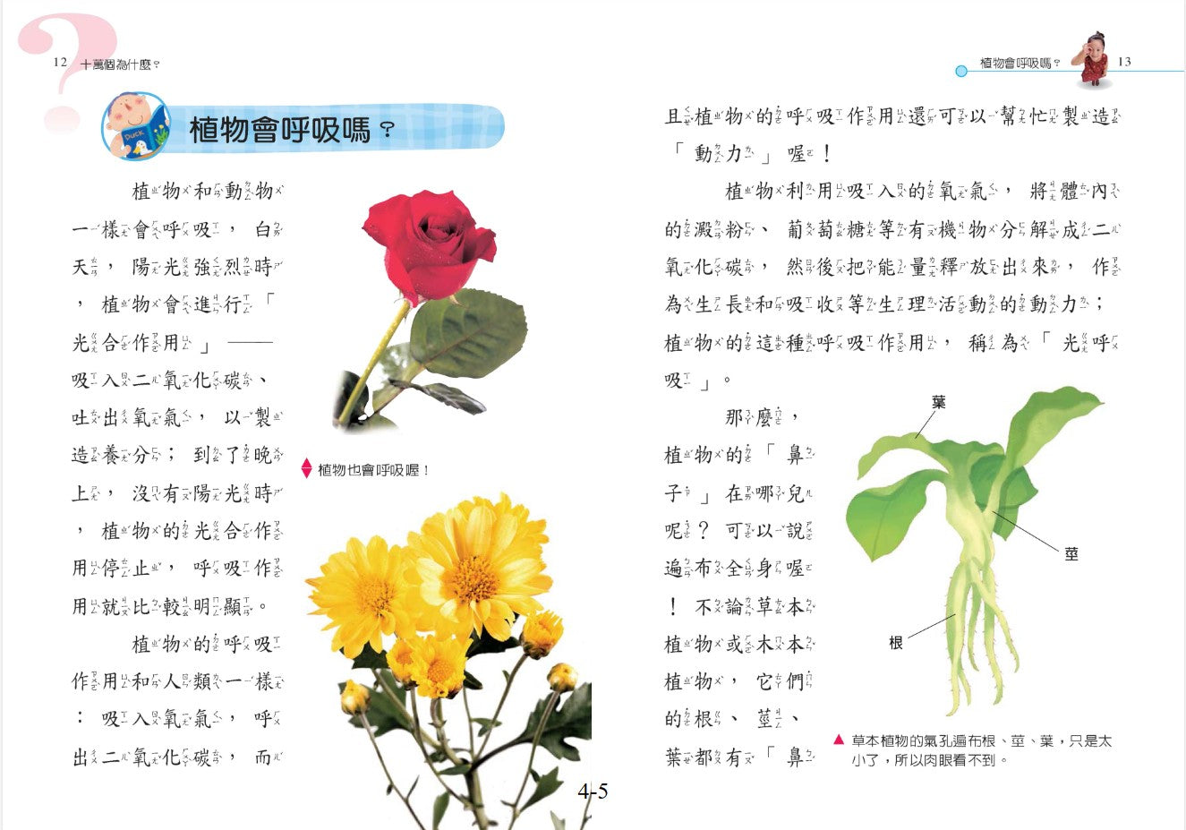 小小百科 4 : 奇妙植物