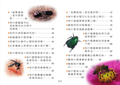 小小百科 5 : 發現昆蟲