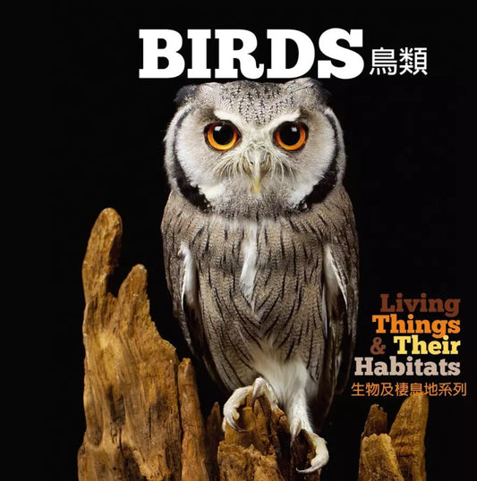 生物及棲息地系列:鳥類