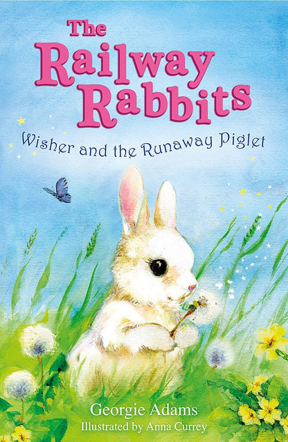 The Railway Rabbits (11 Books)