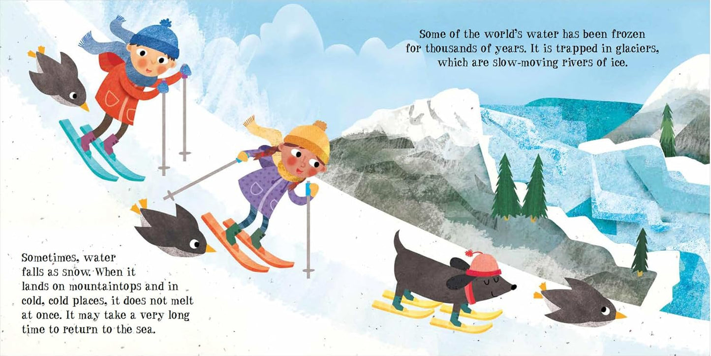 Look and Wonder Collection