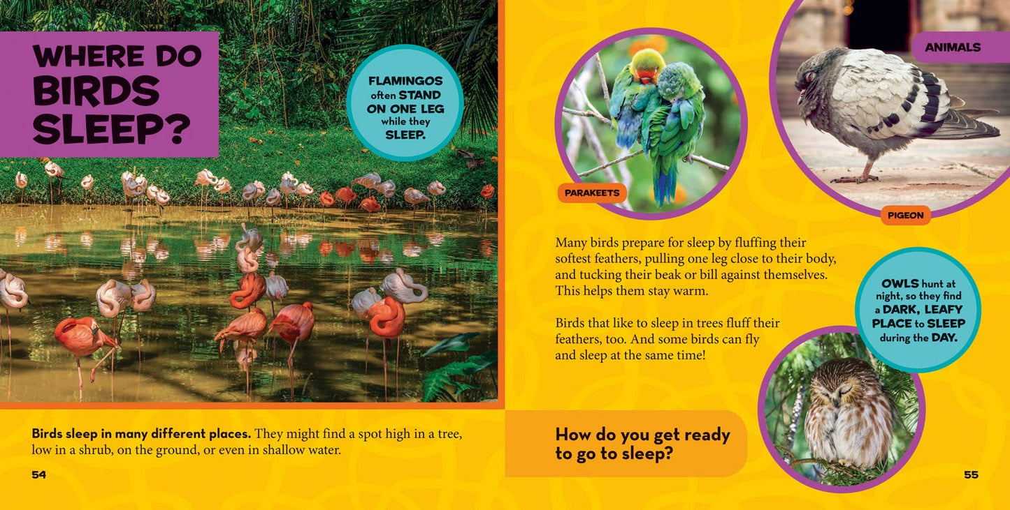 National Geographic Little Kids First Big Book of Where