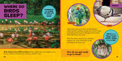 National Geographic Little Kids First Big Book of Where