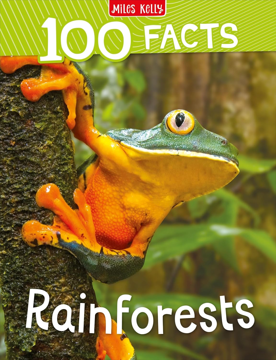 100 Facts Collection (11 Books)