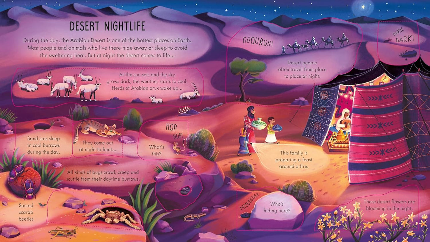 Look Inside Night Time