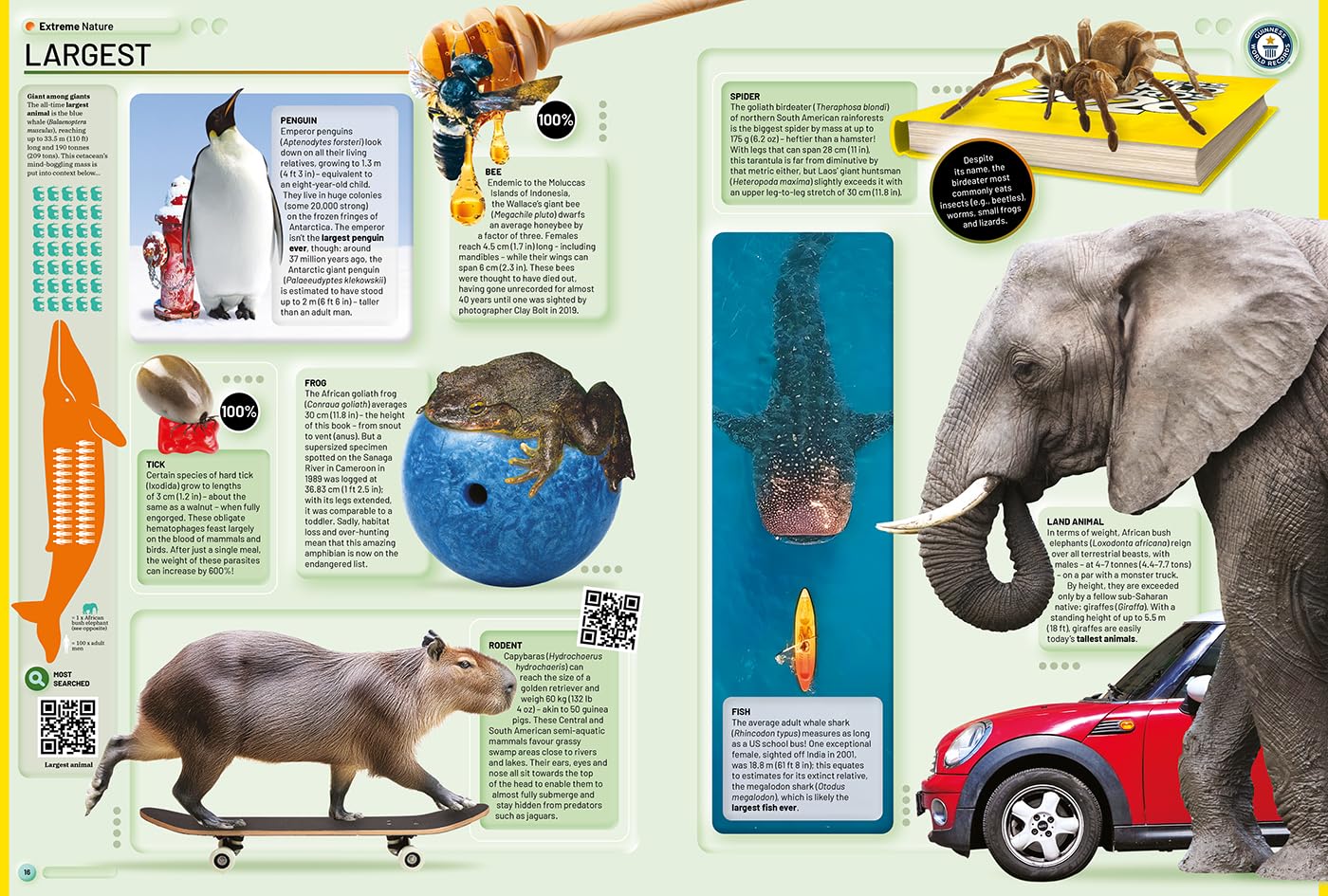 Guinness World Records 2026