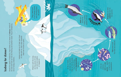 Lots of Things to Know About Seas And Oceans