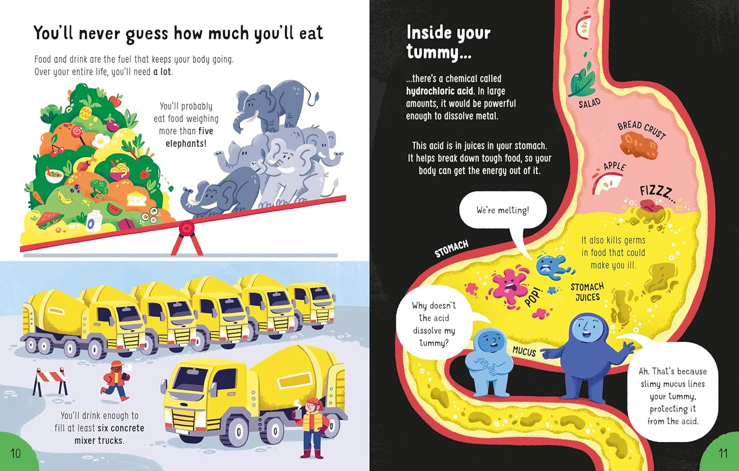 Big Book of Things to Know