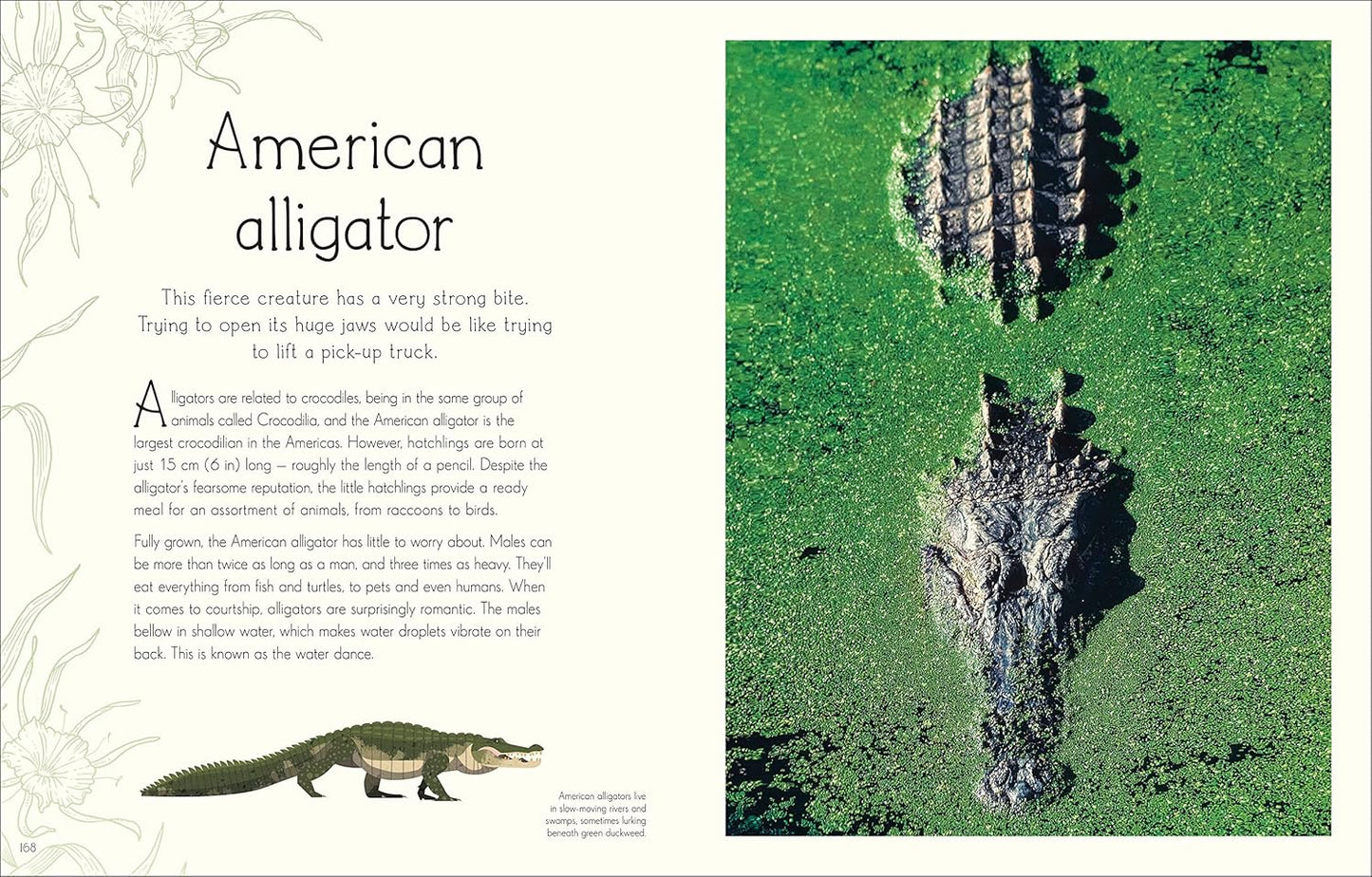 An Anthology of Aquatic Life