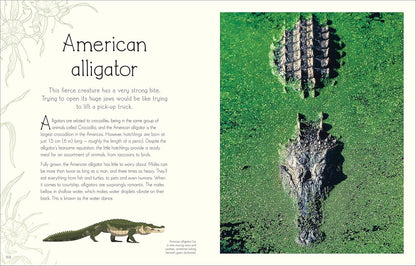 An Anthology of Aquatic Life