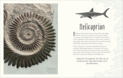 Dinosaurs and Other Prehistoric Life