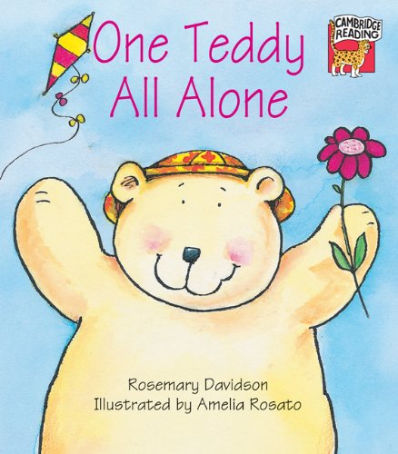 ONE TEDDY ALL ALONE