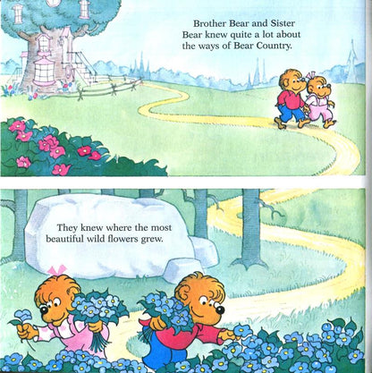 The Berenstain Bears' Trouble with Money